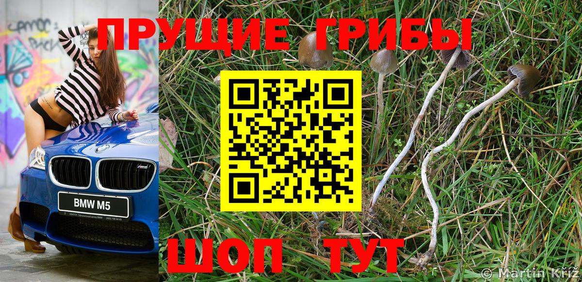 Галлюциногенные грибы мухоморы  Псилоцибиновые грибы мицелий  Вход с VPN  Вышний Волочёк 