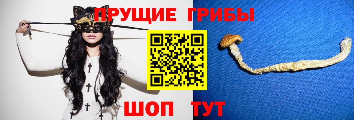 Галлюциногенные грибы Magic Shrooms Вышний Волочёк